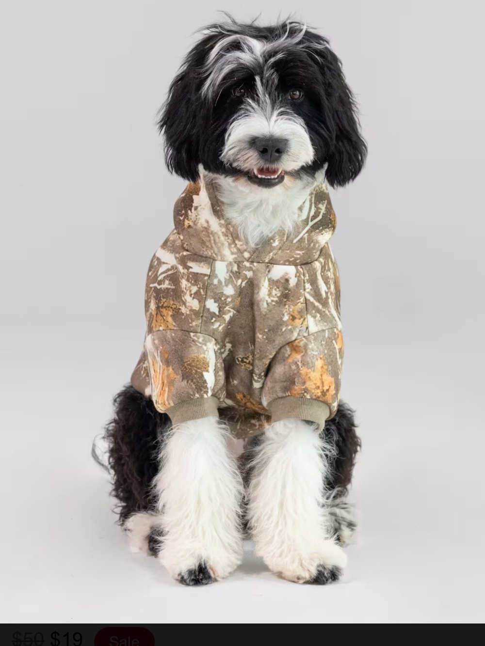 COMFRT NEW dog hoodie
